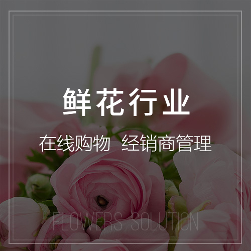 珠海网站建设中的用户体验优化策略